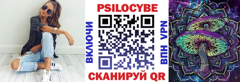 наркошоп  Зверево  даркнет какой сайт  Псилоцибиновые грибы Psilocybine cubensis 